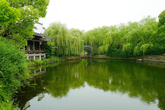 上海 闻道园 园林 中式建筑