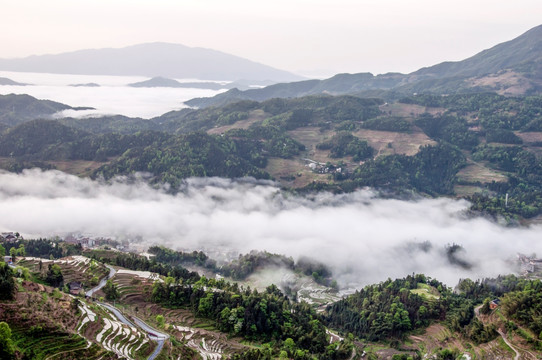 新化县紫鹊界梯田风光