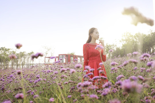 浪漫花海中的美女