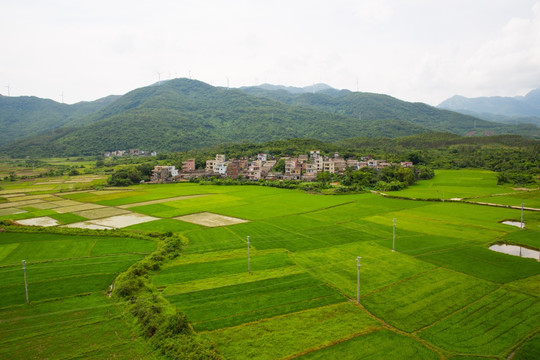 村庄 田野 乡村