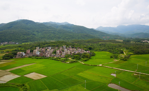 村庄 田野 乡村