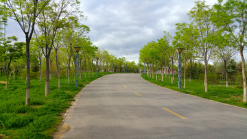 绿荫小道