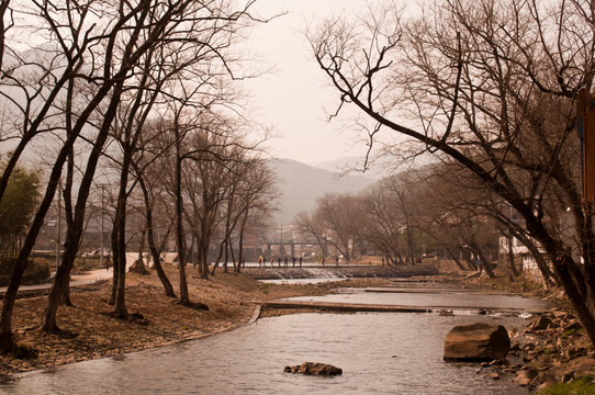 中村秋景