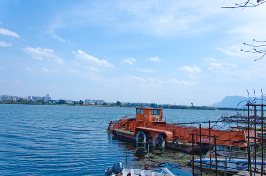 草海治理