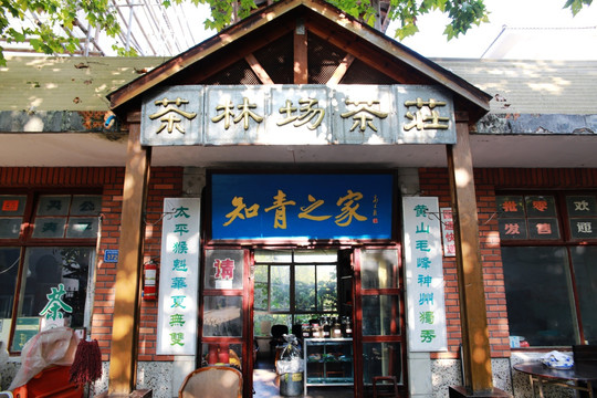 黄山上海茶林场茶庄