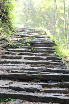 徽青古道山路