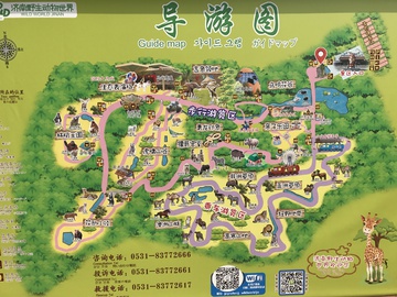 济南野生动物世界导游图 
