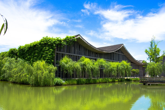 中国美院 杭州城市建筑风光