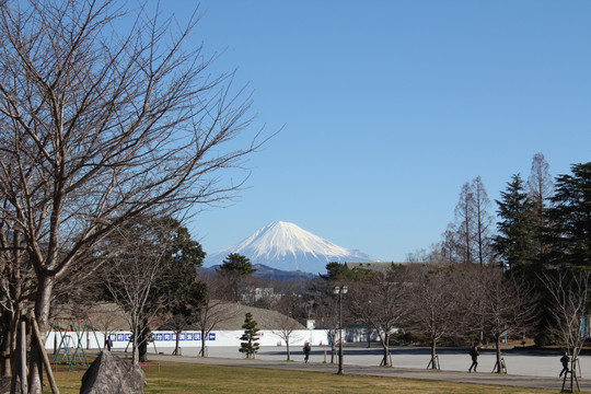 骏府城广场的富士山