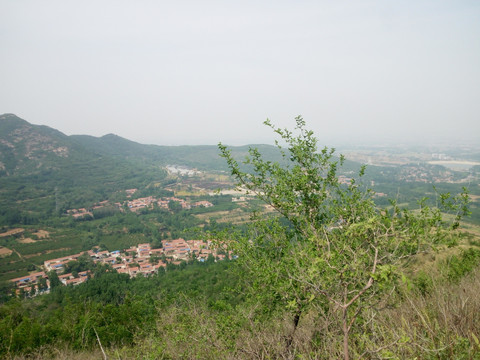 鹤伴山风景区