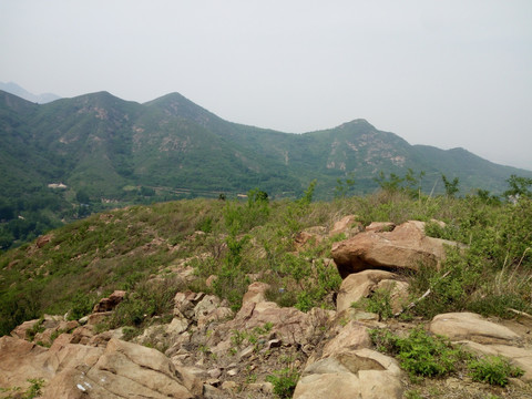 鹤伴山风景