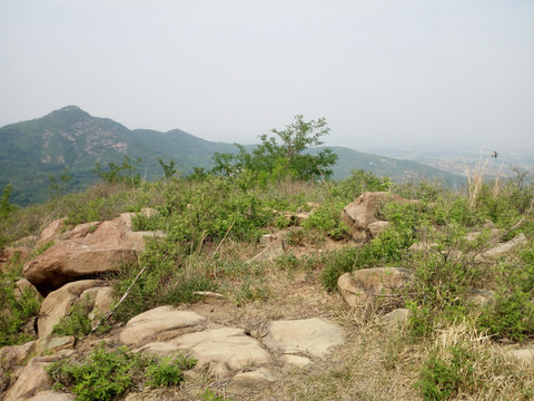 鹤伴山风景
