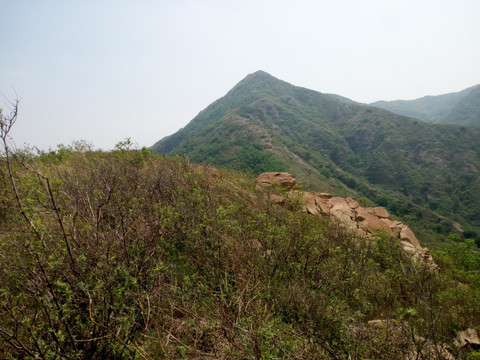 鹤伴山风景