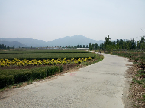 乡村田间风景