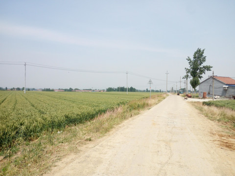 乡村田间风景