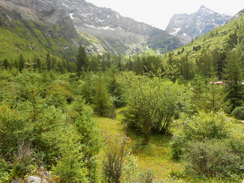 高原群山 山地风光