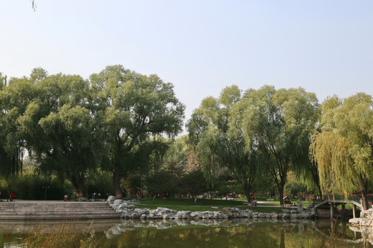 龙潭公园园景