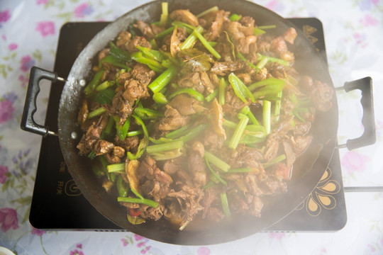 广西桂林美食 风味菜子姜焖鸭