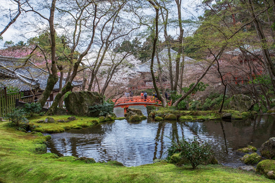 日本醍醐寺上醍醐美丽景色