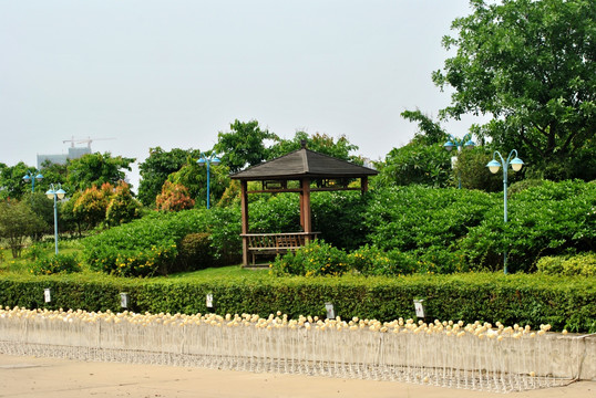 公园景色