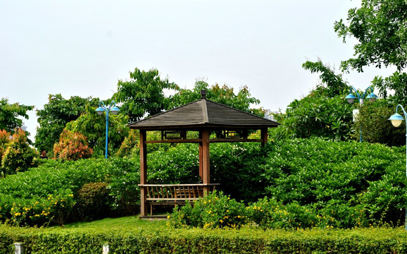 公园景色