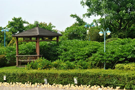 公园景色