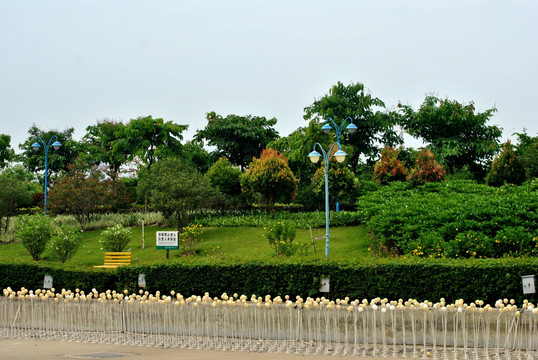 公园风景