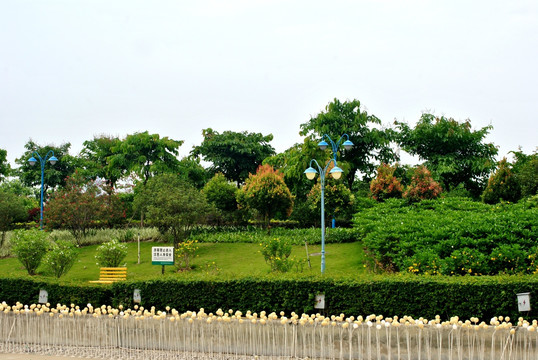 公园风景