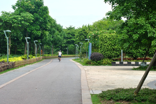 人行道