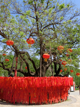 许愿树 祈福丝带 许愿丝带