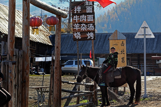 白哈巴 草原木屋白桦林 图瓦族