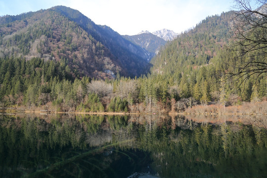 青山绿水