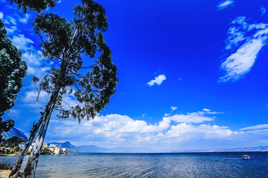 高原湖泊抚仙湖