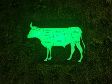 牛 设计 灯光