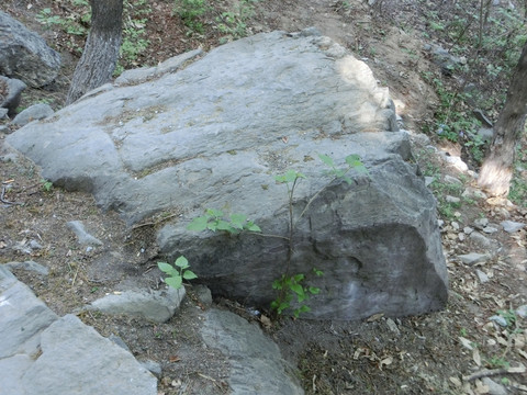 山石 石头 巨石