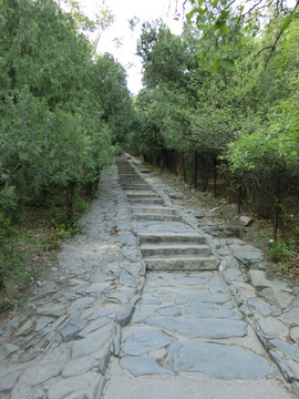 登山道 登山路 青石台阶