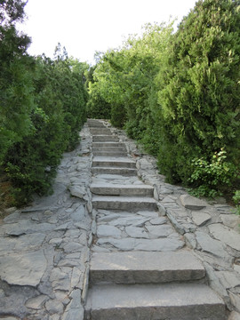 登山道 青石台阶
