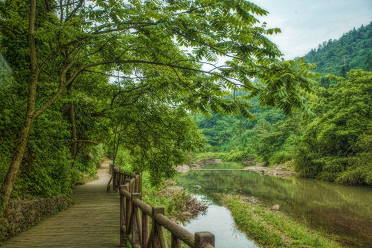 木栈道