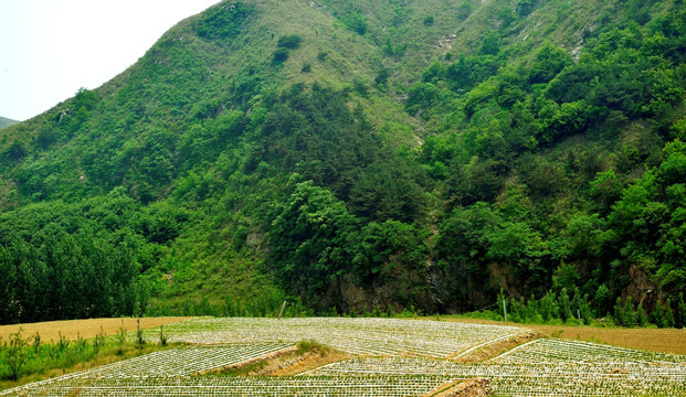 山区风景