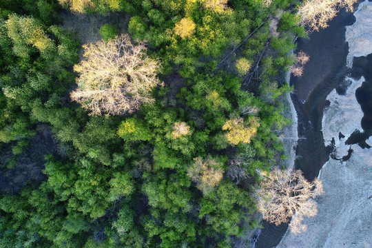 树林河流风景 航拍