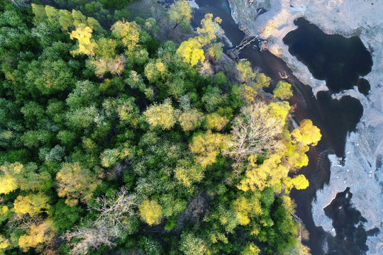 树林河流风景 航拍