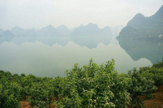 金鸡河水库