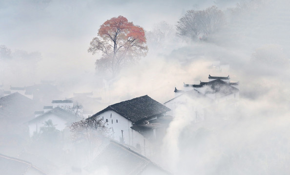 唯美风景