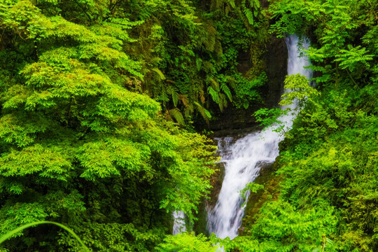 山泉