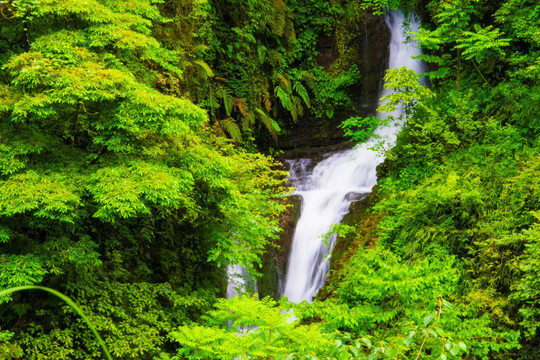 山泉
