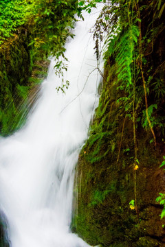 山泉