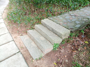 石梯