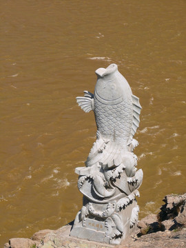 黄河鲤鱼塑像