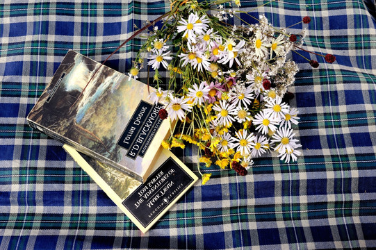 书籍和鲜花