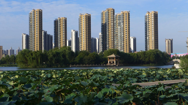 高楼大厦 城市建筑 城市风光